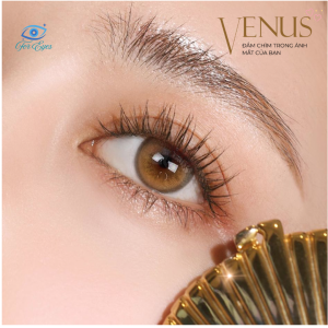 Kính áp tròng Silicone Hydrogel Venus Brown